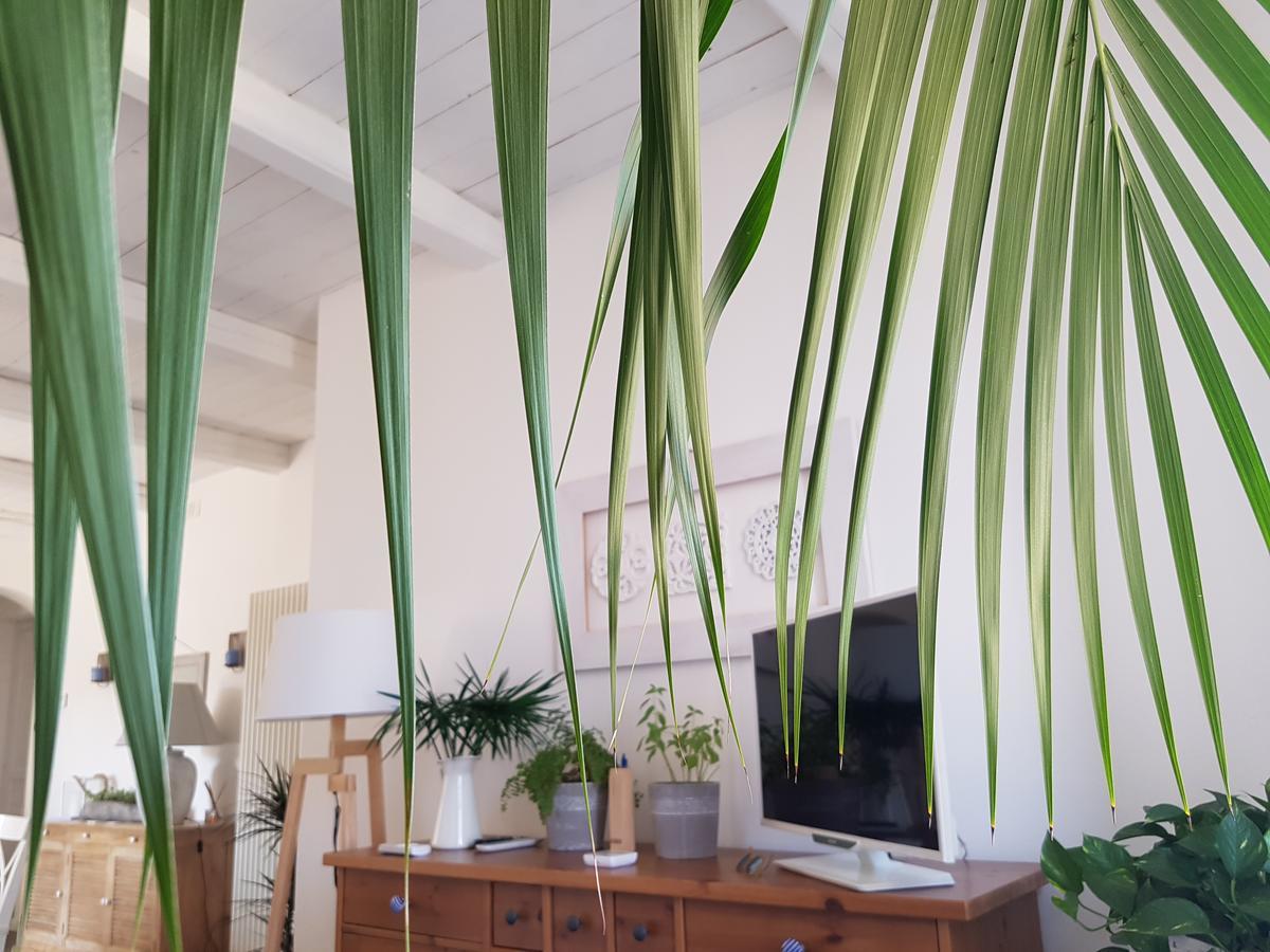Azzurro B&B Cefalù Εξωτερικό φωτογραφία